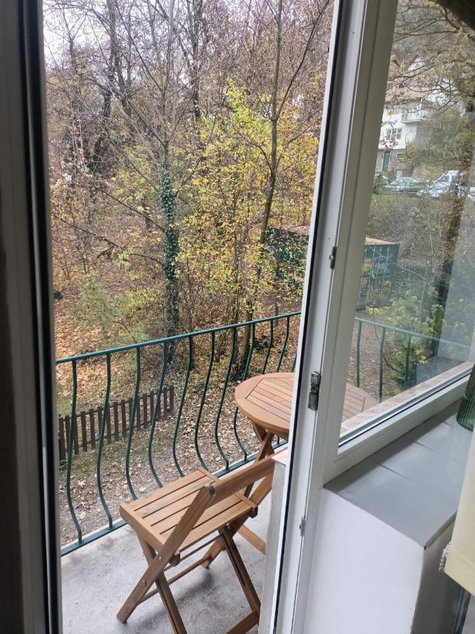 Vintage Gray Apartament Braşov Exterior foto