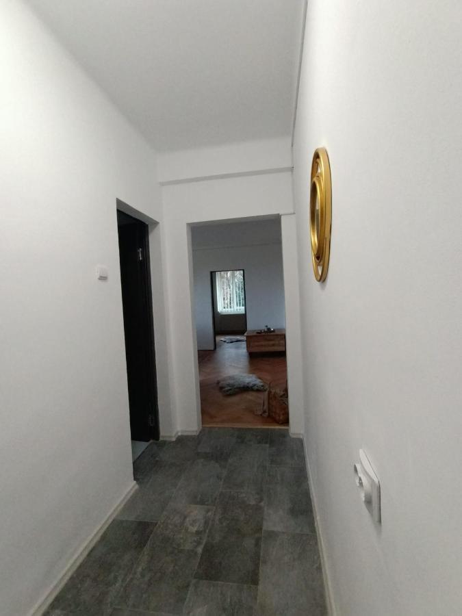 Vintage Gray Apartament Braşov Exterior foto
